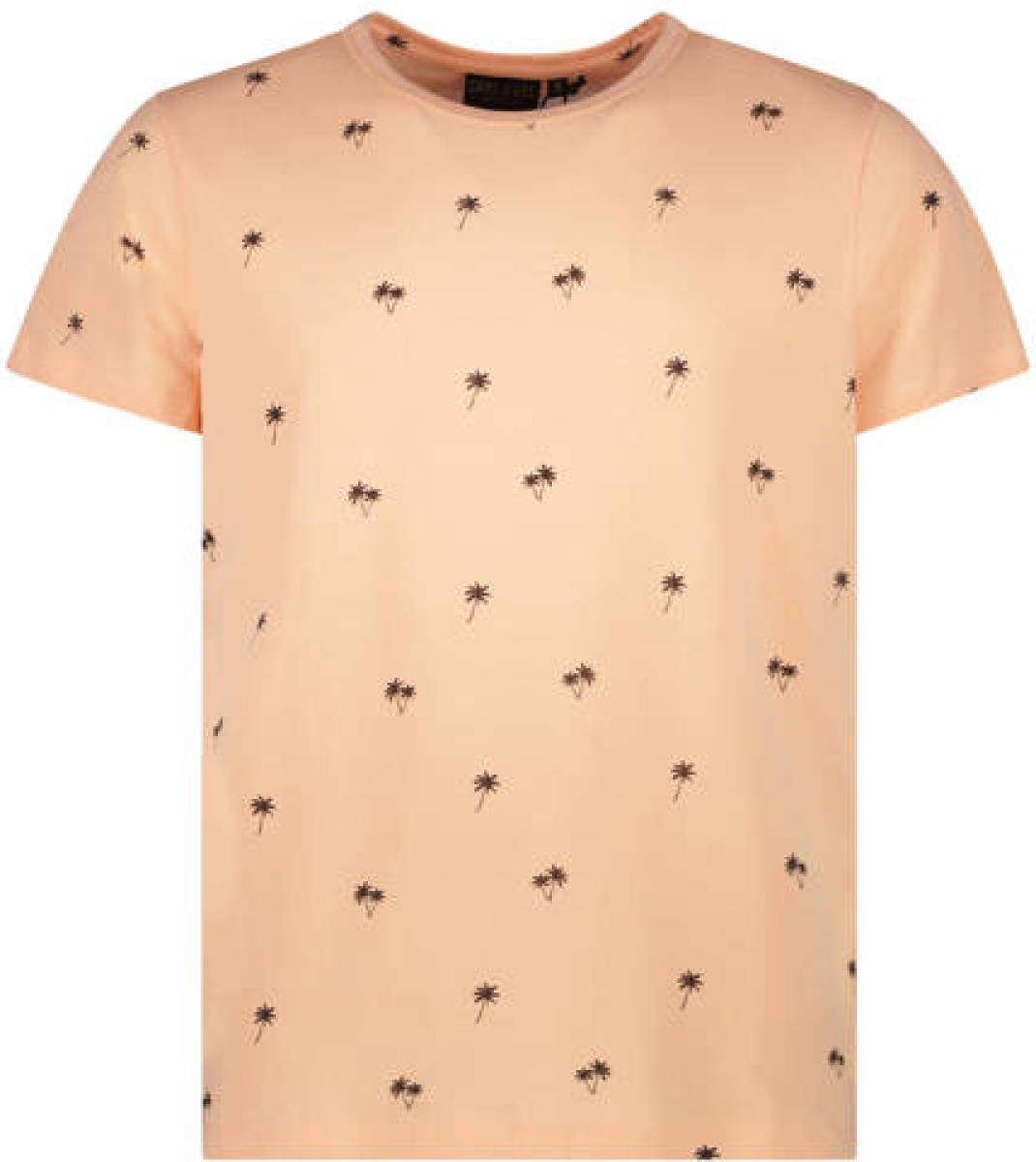 Cars T-shirt BULLS met all over print coral