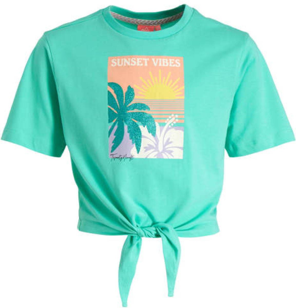 29FT T-shirt met printopdruk turquoise
