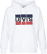 Levi's Graphic sport sweater