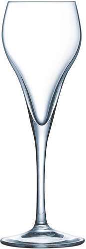 Vlak glas voor champagne en cava Arcoroc Brio Glas 6 Stuks (95 ml)