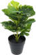 GreenDream Kunstplant - Monstera - Monstera Deliciosa - Gatenplant - Kamerplant - 30 cm