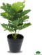 GreenDream Kunstplant - Monstera - Monstera Deliciosa - Gatenplant - Kamerplant - 30 cm