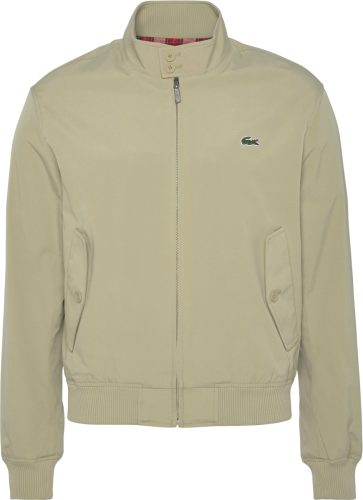 Lacoste Jack in collegestijl