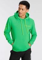 Champion Hoodie HOODED sweatshirt
