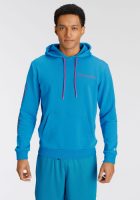 Champion Hoodie HOODED sweatshirt