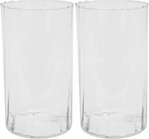 H&S Collection Bloemen vaas 2x stuks transparant - glas - H22 cm - Vazen