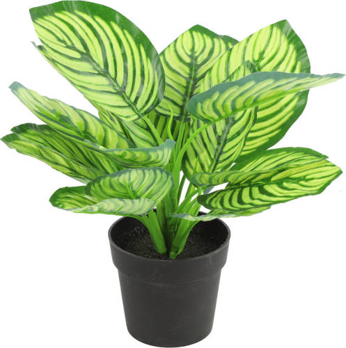 Countryfield Kunstplant Calathea in bloempot - Groen - 15 x 28 cm - Kunstplanten