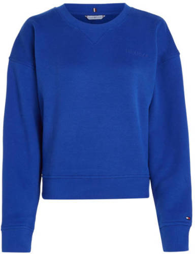 Tommy hilfiger sweater blauw