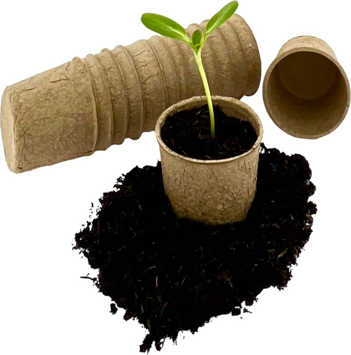 Benza 50 x Biologisch Afbreekbare Zaadpotjes Stekpotjes Kweekpotjes - Ø 7 cm x H 5 cm