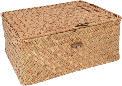 QUVIO Opbergmand - 29 x 19 x 12 cm - Rotan - Bruin