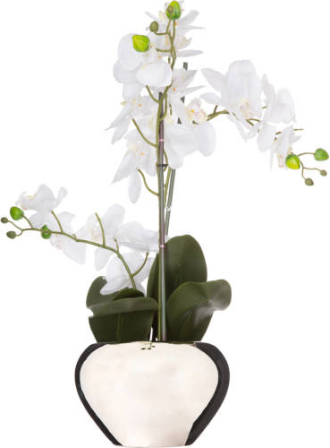 Atmosphera Orchidee bloem kunstplant - wit - H56 x B40 cm - Kunstplanten