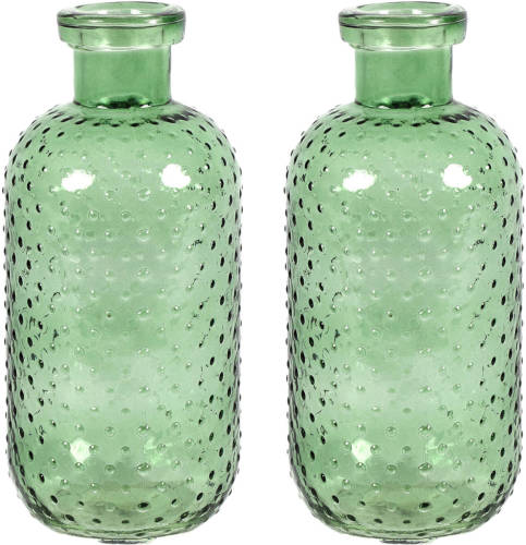 Countryfield Bloemenvaas Cactus Dots - 2x - groen transparant - glas - D11 x H24 cm - Vazen