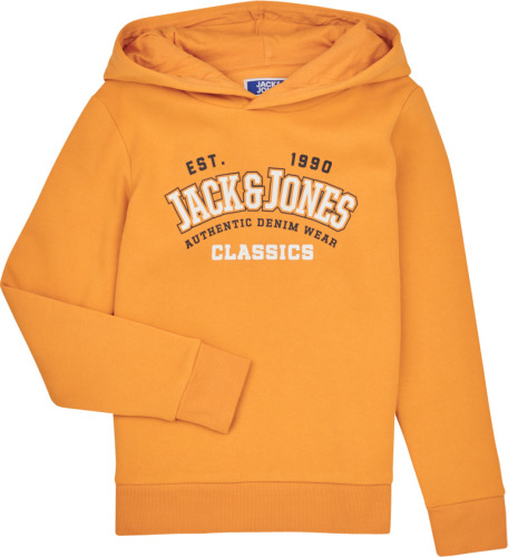 Sweater Jack & Jones  JJELOGO SWEAT HOOD 2 COL 23/24 JNR