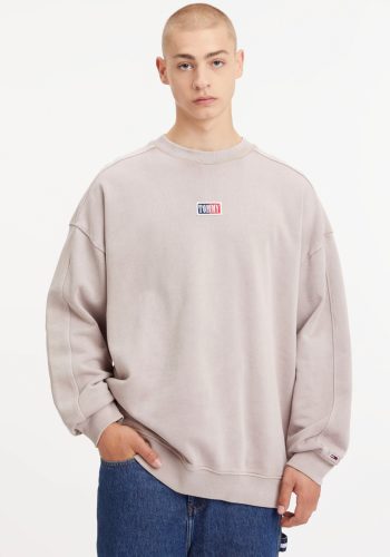 Tommy Jeans Sweater TJM SKATER TIMELESS TOMMY CREW met een ronde hals