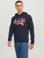 Hoodie Jjelogo