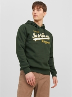 Hoodie Jjelogo