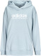 adidas Sportswear Lange hoodie All Seazon