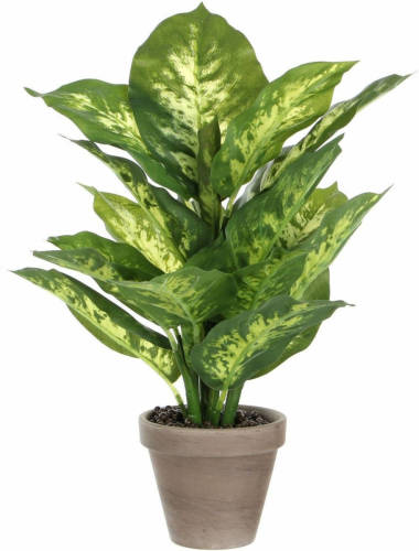 Mica Decorations Kunstplant Dieffenbachia - groen - 40 cm - Kunstplanten