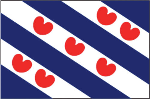 Talamex Friese vlag 100x150 - Veiligheid en vlaggen