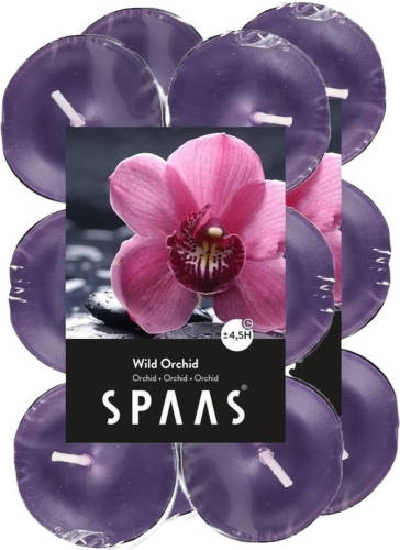 Candles by Spaas 24x Theelichten orchidee bloemen geurkaarsen Wild Orchid 4,5 branduren - geurkaarsen