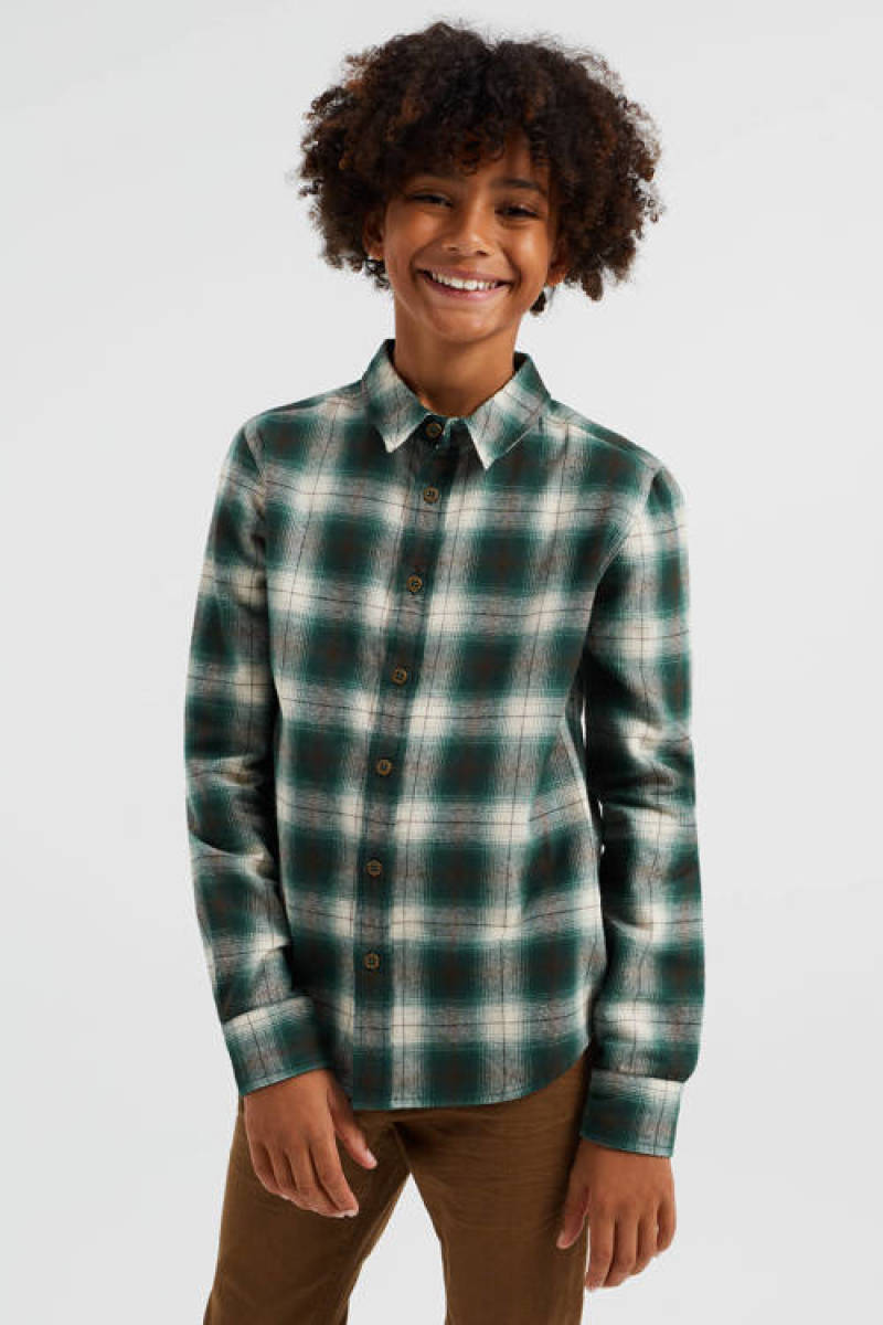 WE Fashion geruit overhemd groen/wit/zwart