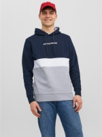 Hoodie color block Jjereid