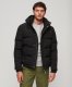 Donsjas Superdry  EVEREST SHORT HOODED PUFFER