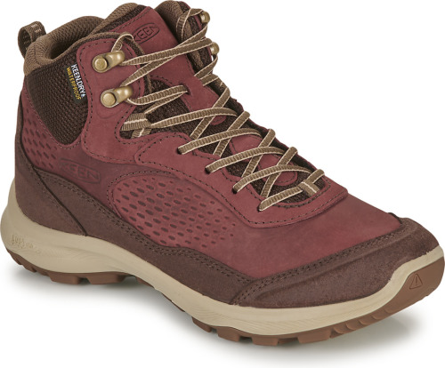 Wandelschoenen Keen  TERRADORA EXPLORER MID WP