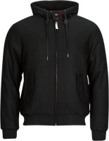 Windjack Harrington  TAYLOR-HOODED