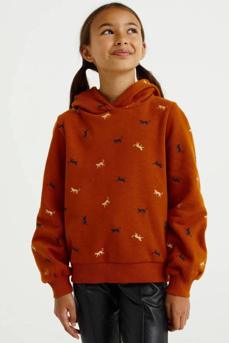 WE Fashion hoodie met all over print donkeroranje/zwart/beige