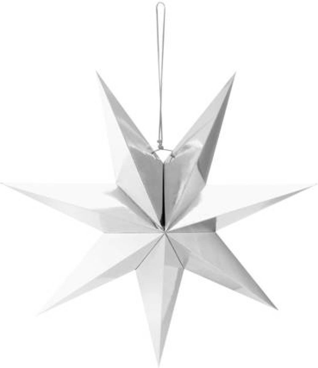vtwonen kerstster