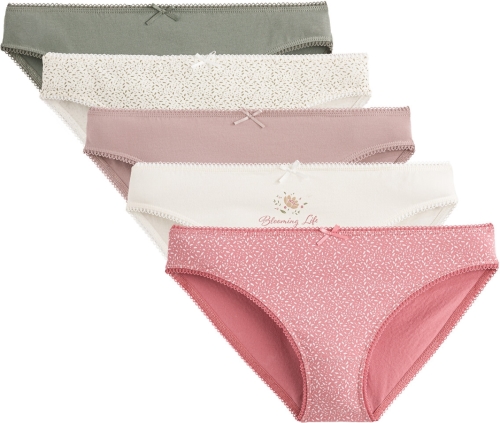 La Redoute Collections Set van 5 slips in rekbaar katoen