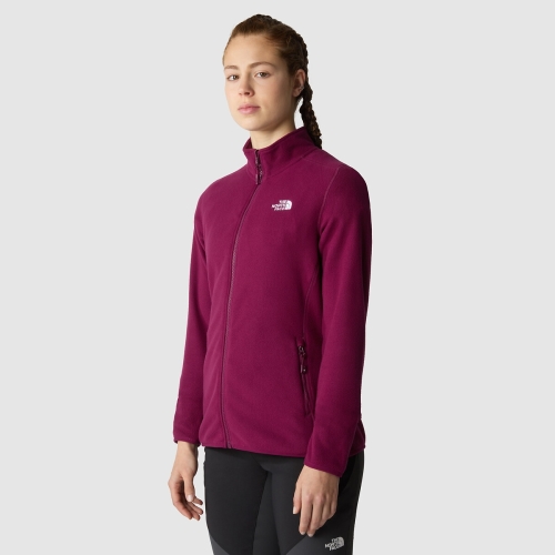 The North Face Sweater voor hiking Glacier