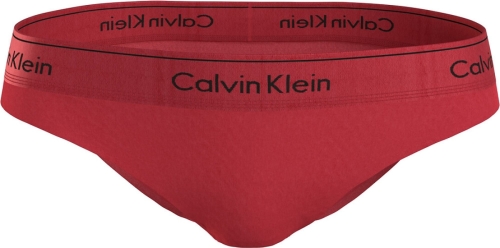 Calvin Klein Underwear Slip Modern CTN Holiday