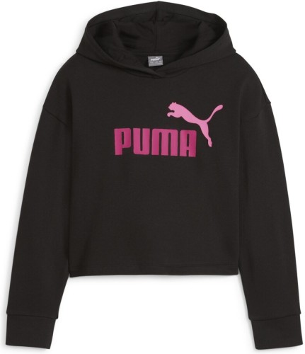 Sweater Puma  ESS 2COLOR HOODIE