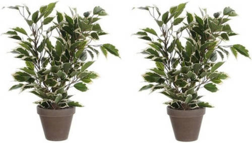 Mica Decorations 2x Groen/witte ficus kunstplanten 40 cm - Kunstplanten