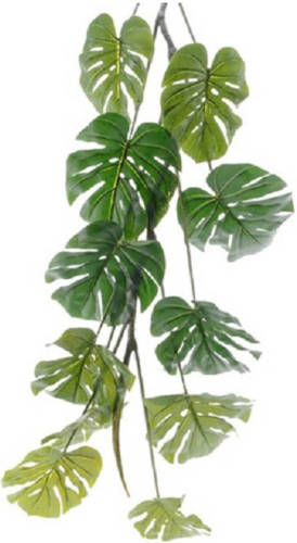 Everlands Monstera/gatenplant kunstplant slinger - 180 cm - groen - Kunstplanten