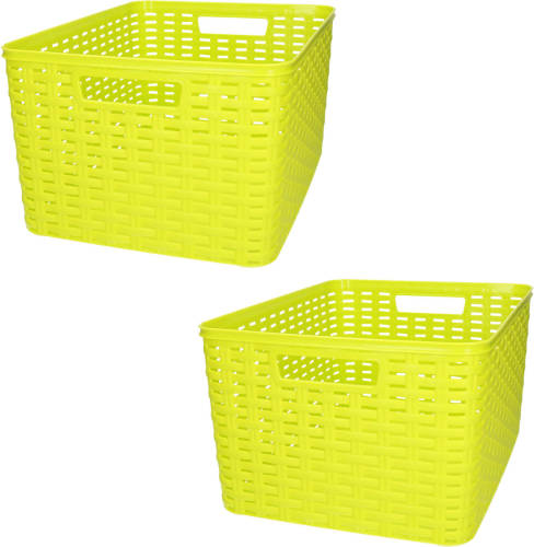 Forte Plastics Plasticforte opbergmand/kastmandje - 2x - 18 liter - groen - kunststof - 28 x 38 x 19 cm - Opbergbox