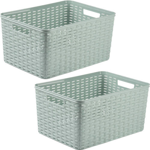 Forte Plastics Plasticforte opbergmand/kastmandje - 2x - 18 liter - mintgroen - kunststof - 28 x 38 x 19 cm - Opbergbox