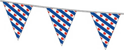 Bellatio Decorations Friese vlag vlaggenlijn van 10 meter - Vlaggenlijnen