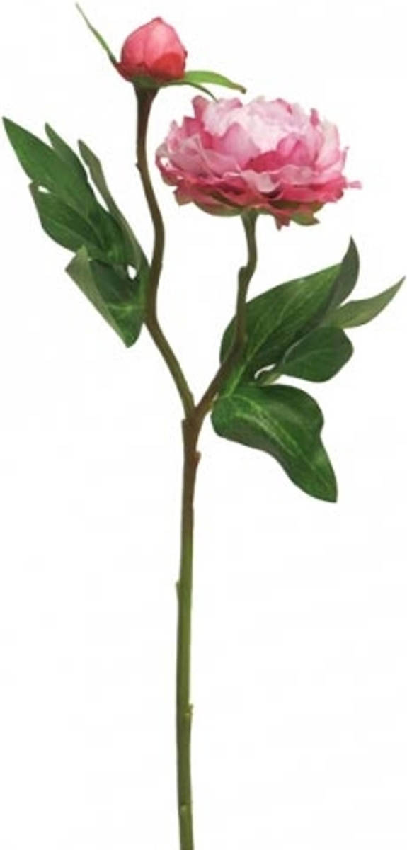 Nova Nature - Pioenroos Princess 46 cm beauty kunstbloem