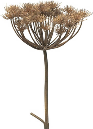 Nova Nature - Heracleum grey/brown 98 cm kunstbloem