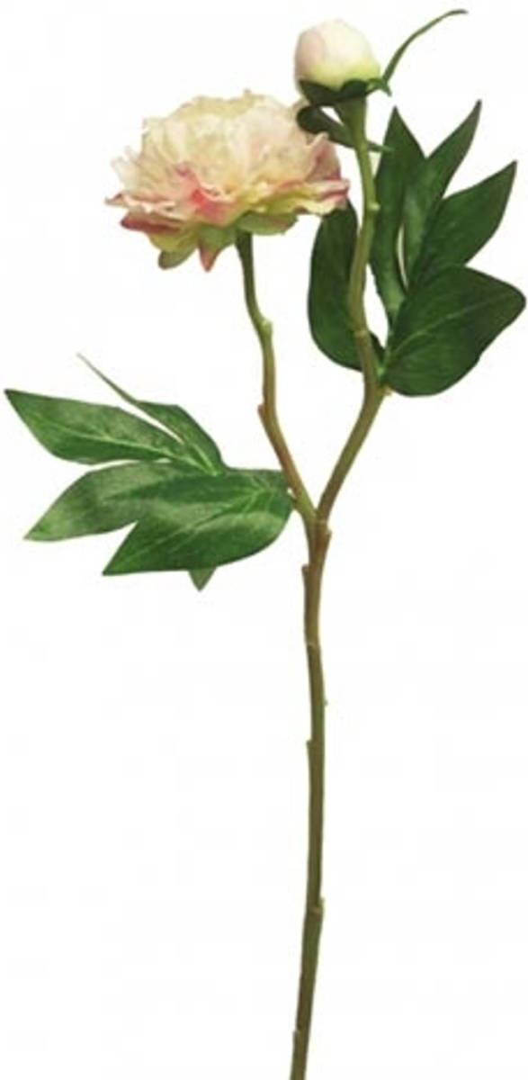 Nova Nature - Pioenroos Princess 46 cm creme/roze kunstbloem