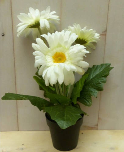 Warentuin Mix - Kunstgerbera wit in pot 25 cm