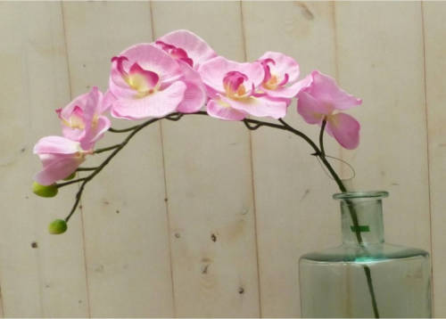 Warentuin Mix - Kunstvlinderorchidee op steker roze
