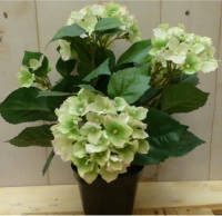 Warentuin Mix - Kunsthortensia wit in pot 35 cm