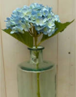 Warentuin Mix - Kunsthortensia op steker blauw