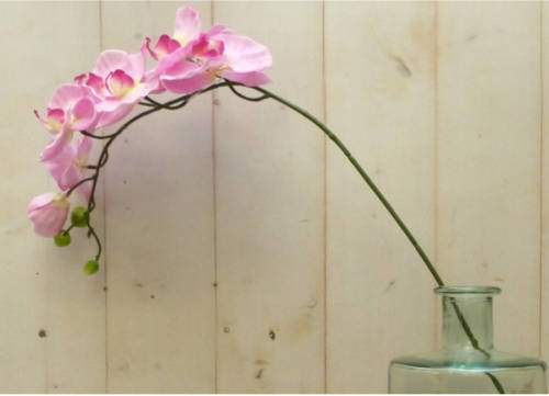 Warentuin Mix - Kunstvlinderorchidee groot op steker roze