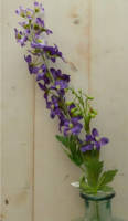 Warentuin Mix - Kunstridderspoor delphinium groot op steker paars