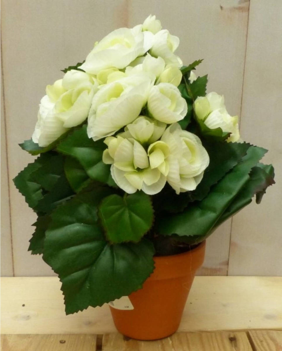 Warentuin Mix - Kunstbegonia wit in potje 25 cm